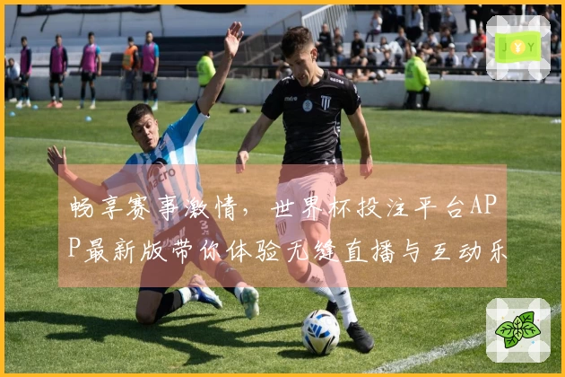 畅享赛事激情,世界杯投注平台APP最新版带你体验无缝直播与互动乐趣
