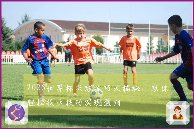 2026世界杯买球技巧大揭秘，助你轻松投注技巧实现盈利