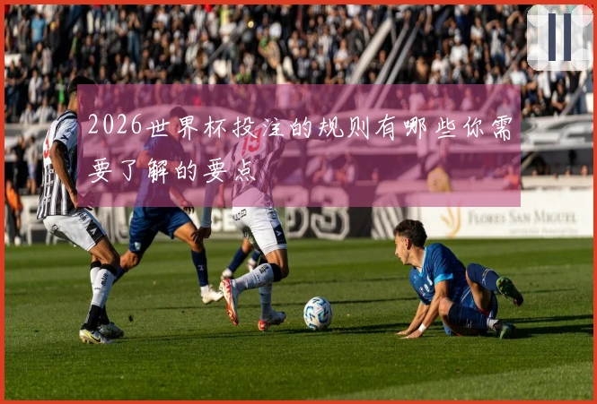 2026世界杯投注的规则有哪些你需要了解的要点