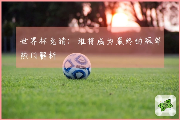 世界杯竞猜：谁将成为最终的冠军热门解析