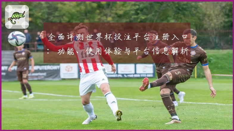 全面评测世界杯投注平台注册入口：功能、使用体验与平台信息解析