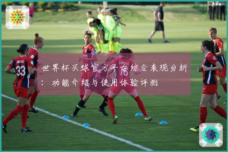 世界杯买球官方平台综合表现分析：功能介绍与使用体验评测