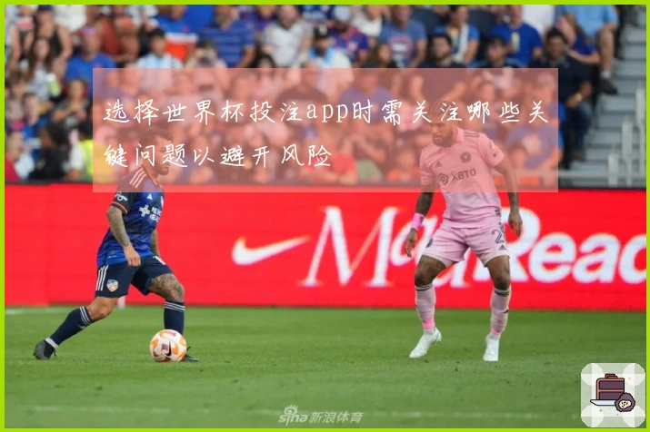 选择世界杯投注app时需关注哪些关键问题以避开风险