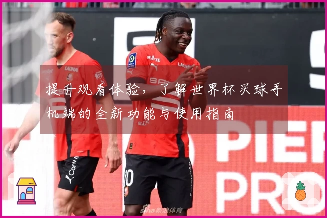 提升观看体验，了解世界杯买球手机端的全新功能与使用指南