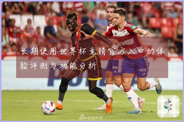 长期使用世界杯竞猜官方入口的体验评测与功能分析