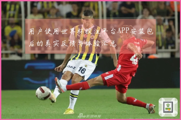 用户使用世界杯投注平台APP安装包后的真实反馈与体验汇总
