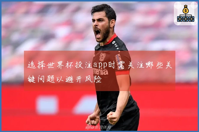 选择世界杯投注app时需关注哪些关键问题以避开风险