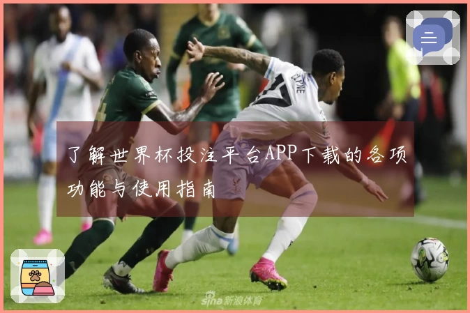 了解世界杯投注平台APP下载的各项功能与使用指南